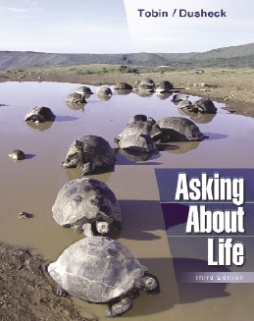 Asking About Life
